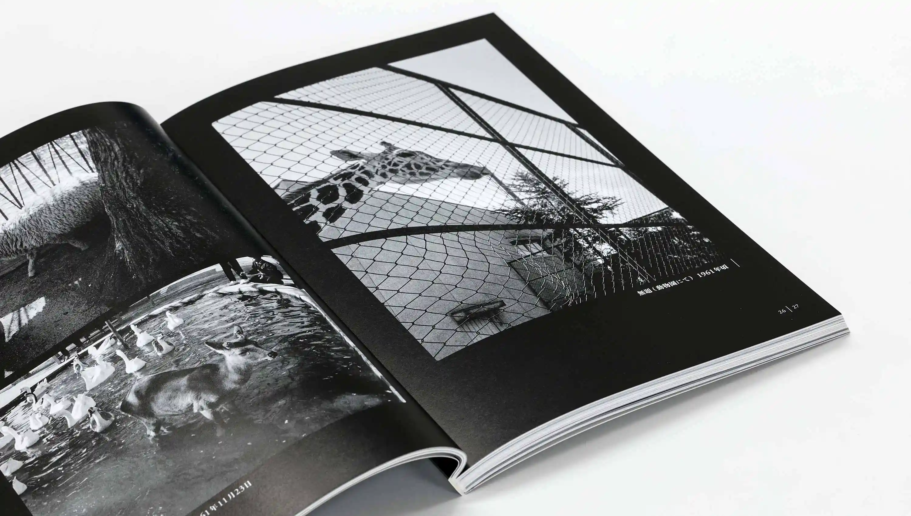 カメラを手にした前衛陶芸家 八木一夫の写真 京都国立近代美術館